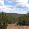 1.14 Acre Parcel in the White Mountains of Arizona