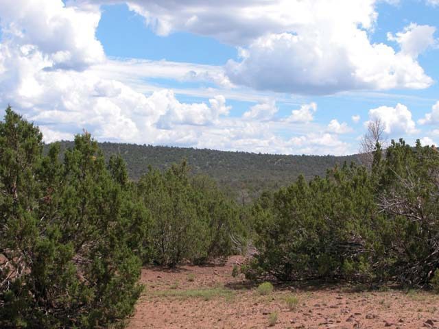 1.14 Acre Parcel in the White Mountains of Arizona