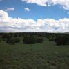 1 Acre Parcel in the White Mountains of Arizona