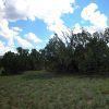 1 Acre Parcel in the White Mountains of Arizona