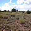 1 Acre Arizona Parcel on the Colorado Plateau