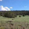 1.04 Acre Parcel in the White Mountains of Arizona