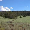 2.17 Acr Arizona Land near White Mtns Dirt Road Access