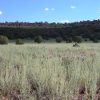 1 Acre Parcel on the Colorado Plateau