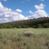 1.78 Acre Parcel in the White Mountains of Arizona