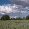 2.34 Acs of Arizona Land on the Colorado Plateau Views