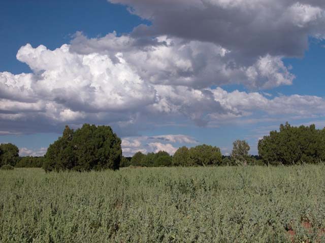 2.34 Acs of Arizona Land on the Colorado Plateau Views