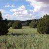 1.1 Acre Arizona Parcel in Arizona Park Estates