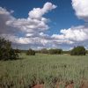 1.07 Acre Arizona Parcel on the Colorado Plateau