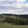 1.06 Acre Parcel in the White Mountains of Arizona
