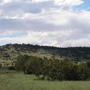 1.04 Acre Parcel in the White Mountains of Arizona