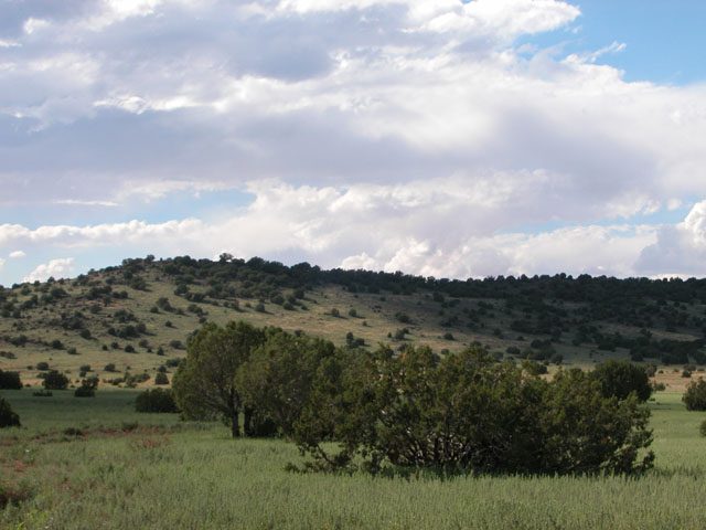 1.04 Acre Parcel 30 miles from Show Low Arizona