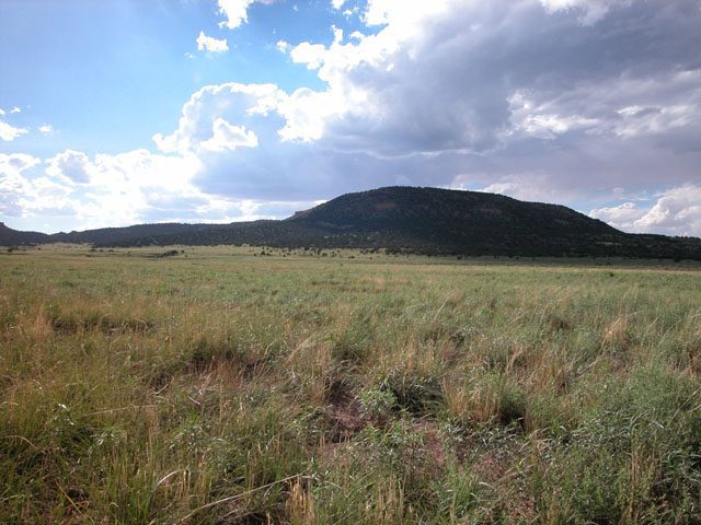 1 Acre Parcel in the White Mountains of Arizona