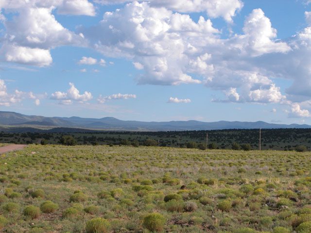 1.04 Acre Parcel in the White Mountains of Arizona