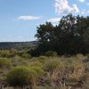1.13 Acre Parcel in the White Mountains of Arizona