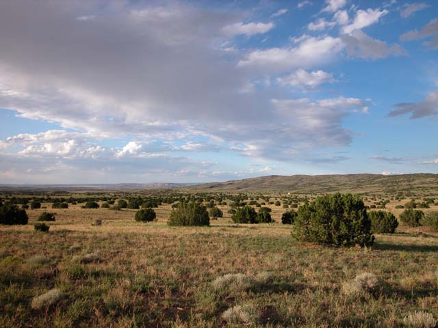 37.03 Acre Ranch in the White Mountains of Arizona