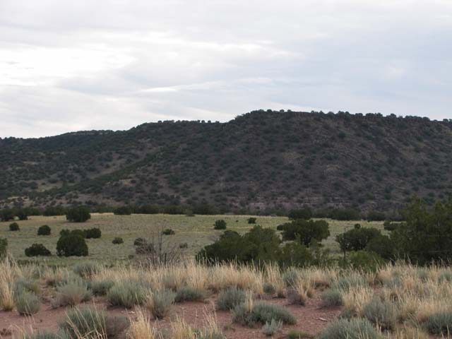 40 Acre Arizona Ranch on the Colorado Plateau