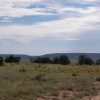 .4 Acre Parcel in the White Mountains of Arizona
