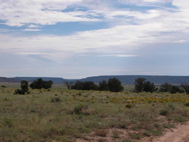 36.75 Acre Ranch in the White Mountains of Arizona.