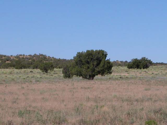 1.07 Acre Arizona Parcel on the Colorado Plateau