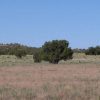 5 Acre Arizona Ranchette on the Colorado Plateau