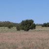 40 Acre Ranch on the Colorado Plateau Arizona