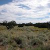 40 Acre Arizona Ranch on the Colorado Plateau