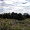 40 Acre Ranch on the Colorado Plateau