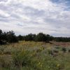 10 Acre Ranchette on the Colorado Plateau Arizona