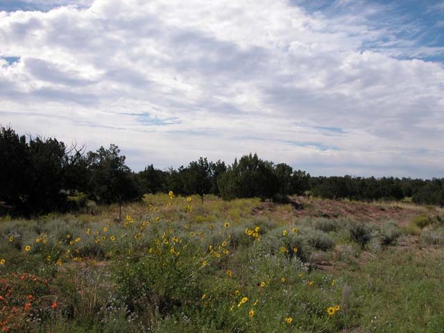 10 Acre Ranchette on the Colorado Plateau Arizona