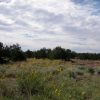 9 Acre Arizona Ranch on the Colorado Plateau