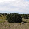 5 Acre Parcel on the Colorado Plateau Arizona