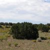 1.2 Acre Arizona Parcel on the Colorado Plateau