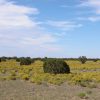 1.1 Acre Arizona Parcel in Arizona Park Estates