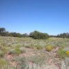 4.66 Acre Arizona Parcel on the Colorado Plateau