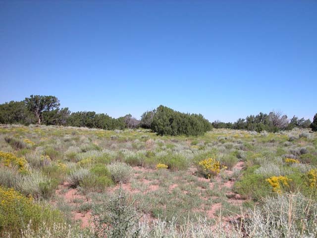 4.66 Acre Arizona Parcel on the Colorado Plateau
