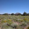 4.5 Acre Arizona Parcel on the Colorado Plateau