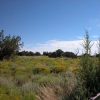 4.63 Acre Arizona Parcel on the Colorado Plateau