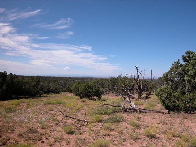 2.5 Acre Parcel on the Colorado Plateau