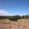 10 Acre Ranch on the Colorado Plateau