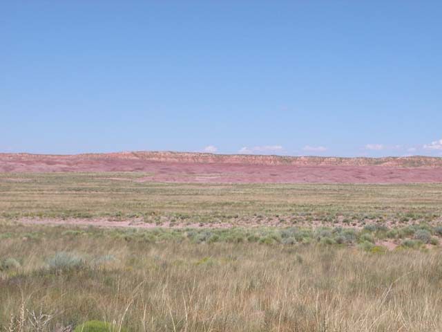 31.3 Acre Arizona Ranch on the Colorado Plateau