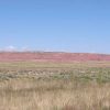 40 Acre Arizona Ranch on the Colorado Plateau