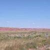 40 Acre Arizona Parcel on the Colorado Plateau