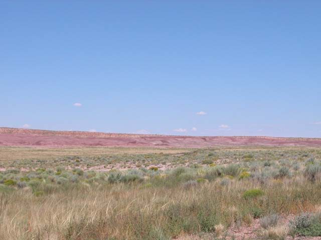 40 Acre Arizona Parcel on the Colorado Plateau