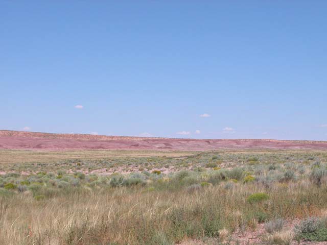 40 Acre Arizona Parcel on the Colorado Plateau