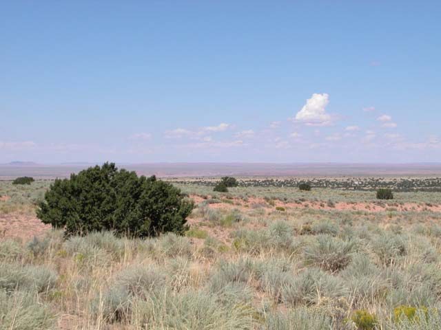 5 Ac Arizona Ranch in Apache County near National Park