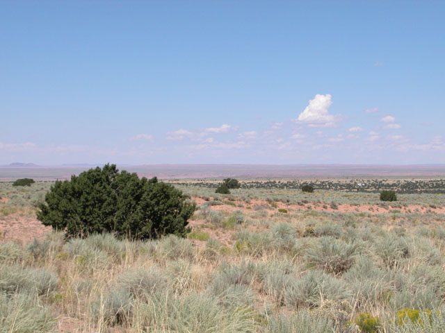 1.05 Acre Arizona Parcel on the Colorado Plateau