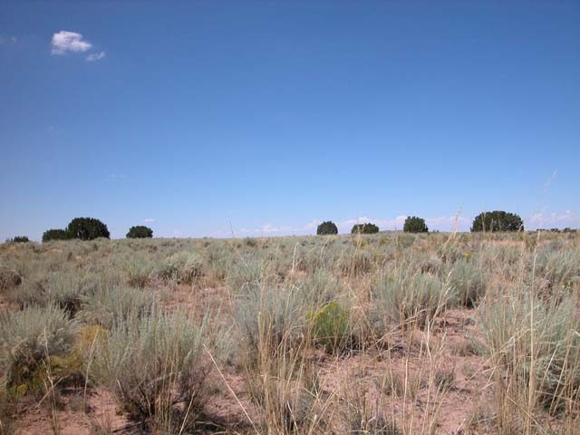 2.4 Acre Arizona Parcel on the Colorado Plateau