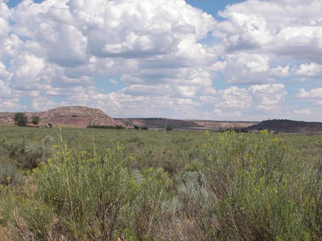 1.04 Acre Arizona Parcel on the Colorado Plateau