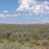 1.1 Acre Arizona Parcel on the Colorado Plateau